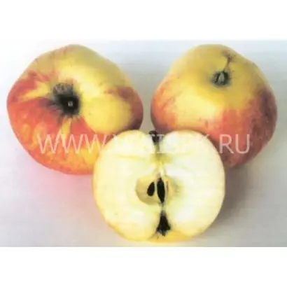 Избранница