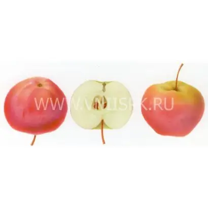 Июльское Черненко