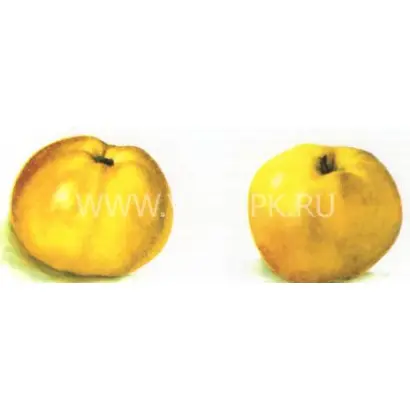 Куйбышевское