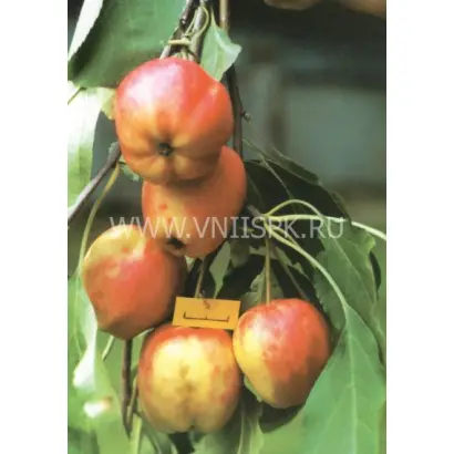 Кулундинское