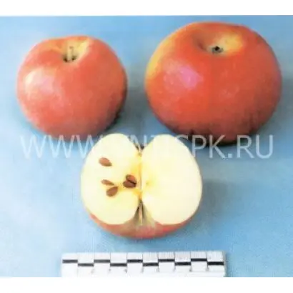 Ламбурне (Лорд Ламбурне)