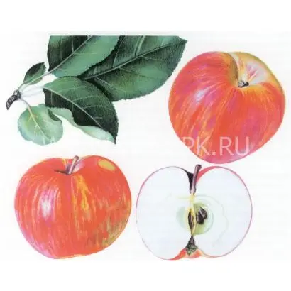 Ломоносовское