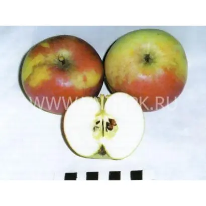 Московское зимнее