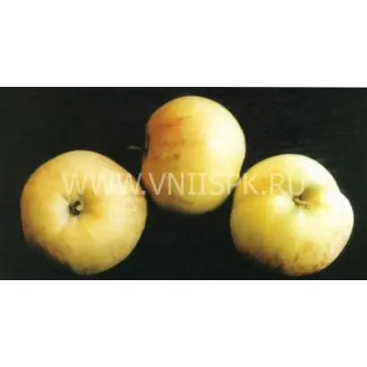 Надежда (Таганай)