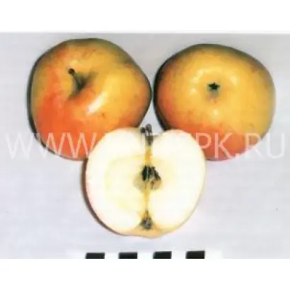 Поливитаминное