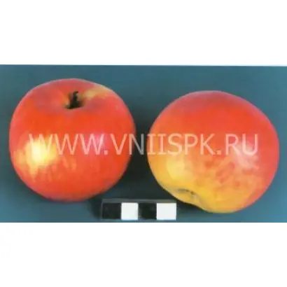 Россошанское августовское