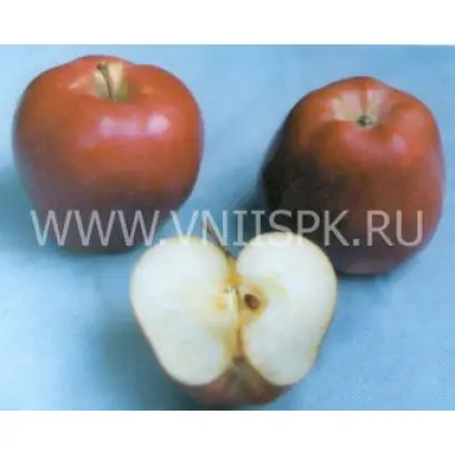 Старкримсон (Старкримсон Делишес)