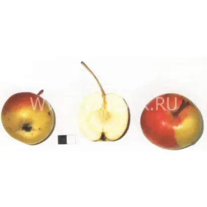 Уральский сувенир