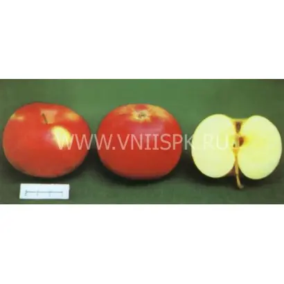 Яндыковское