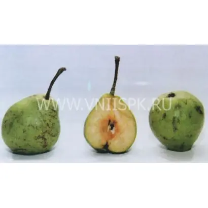 Гимринская