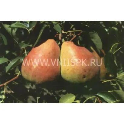 Горячеводская