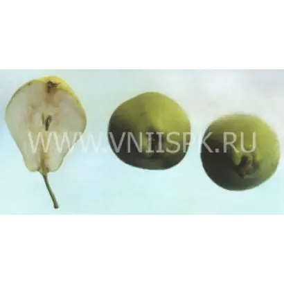 Космическая