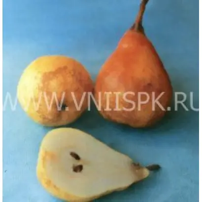 Краснодарская летняя