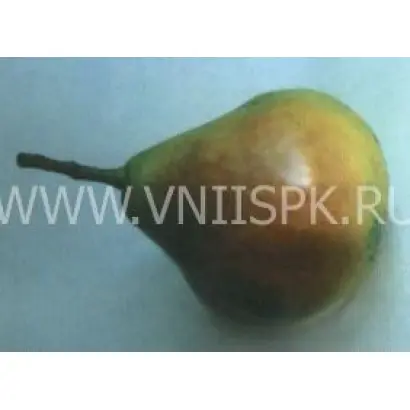 Мелитопольская сочная