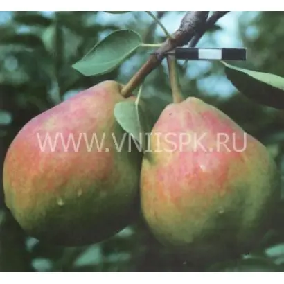 Муратовская