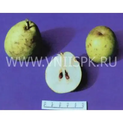 Ноябрьская