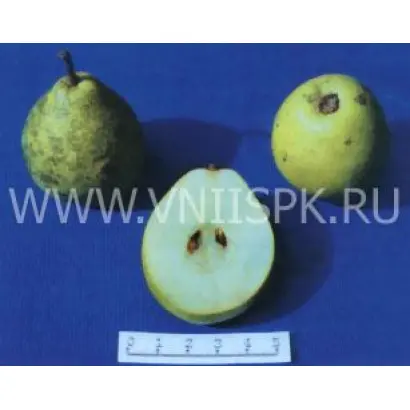 Октябрьская