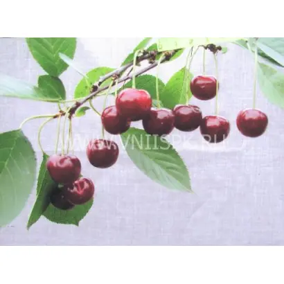 Харитоновская