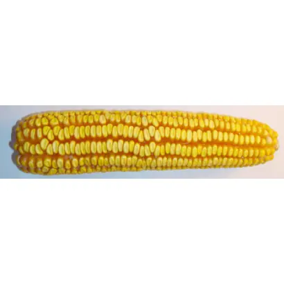 Днепровский 257 МВ