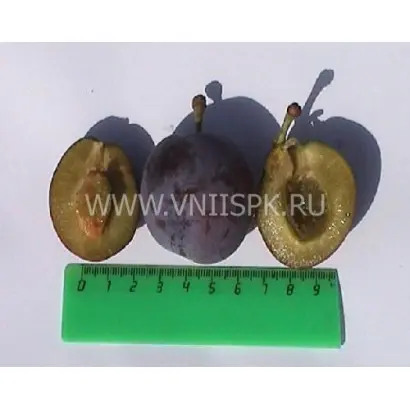 Витебская поздняя