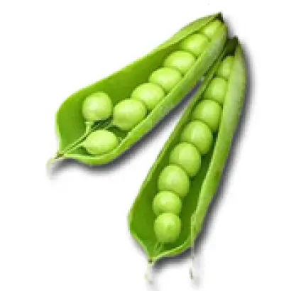 Карина / Karina