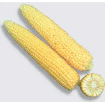 Кокани F1 / Kokanee F1