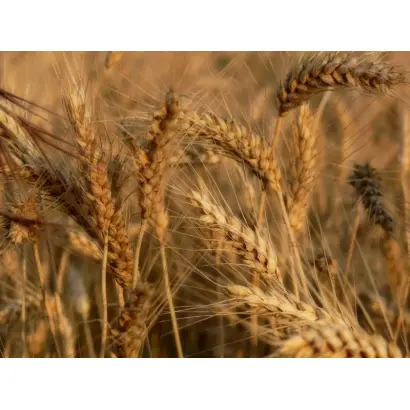 Полесская 90