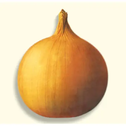 АРЕНАЛ F1 / ARENAL F1