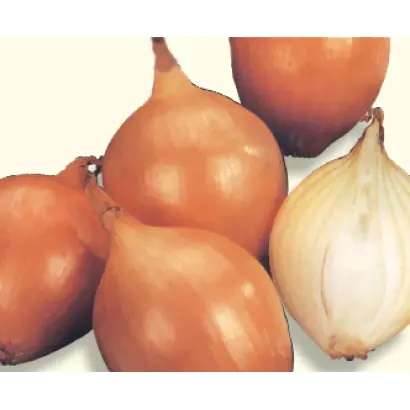 БУГАТТИ F1 / BUGATTI F1