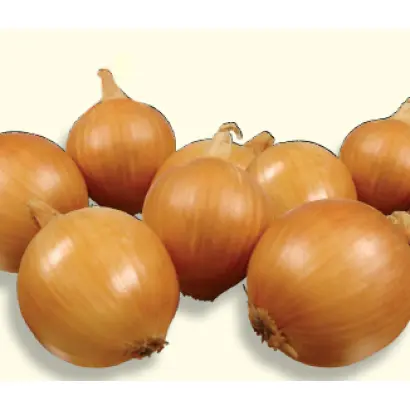 ШЕРПА F1 / SHERPA F1