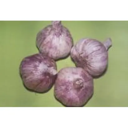 ДЮШЕС. Озимий 