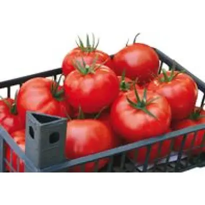 Остоженка F1