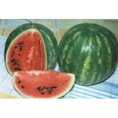 ШИРОНІНСЬКИЙ 