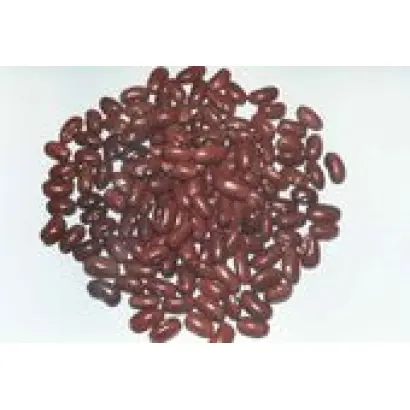 ГАЙДАРСЬКА