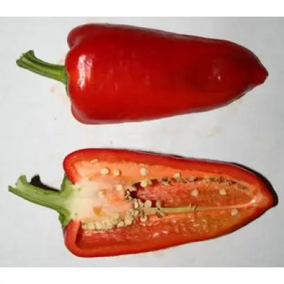 Доверчивый F1 