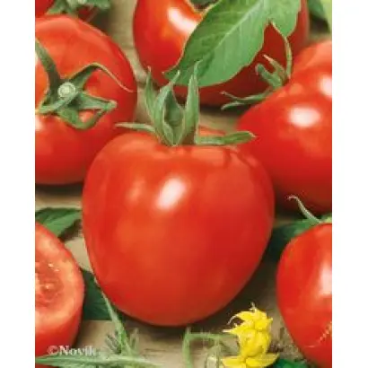 Альтруист F1 