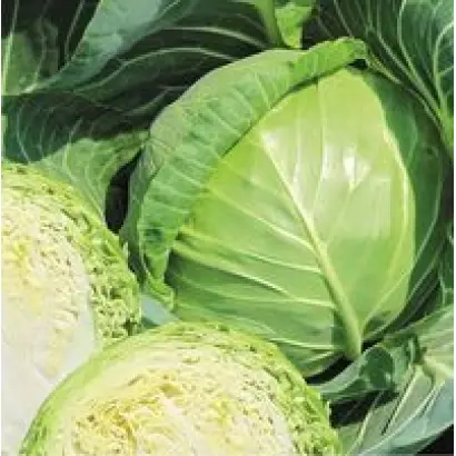 Нахаленок F1 