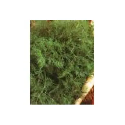 ХАРКІВСЬКИЙ 85. 