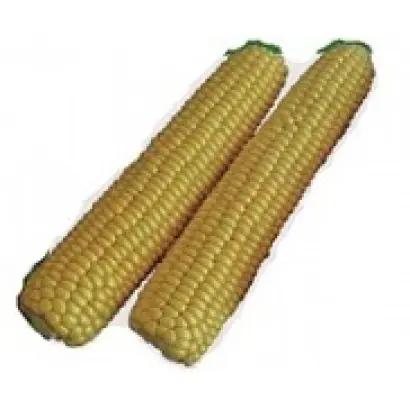 Рання Насолода F1