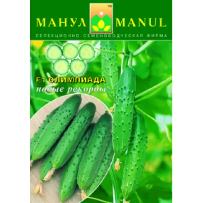 Олимпиада F1 