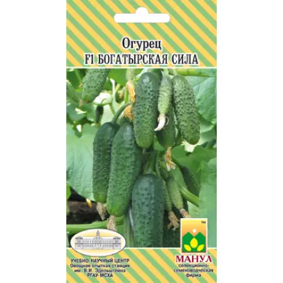 Богатырская сила F1 