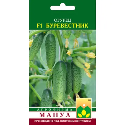 Буревестник F1 