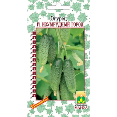 Изумрудный город F1 