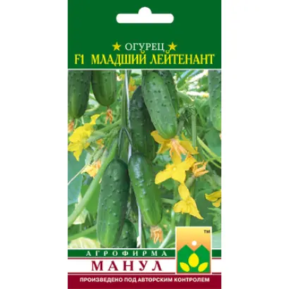 Младший лейтенант F1 