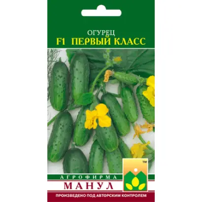 Первый класс F1 