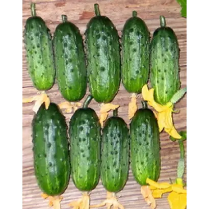 Календарь F1 