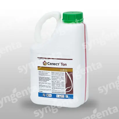 Селест Топ 312,5 FS