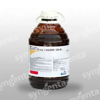 Галера 334 SL / Galera 334 SL