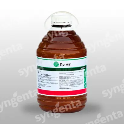 Прима / Пріма