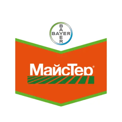 МайсТер 62 WG